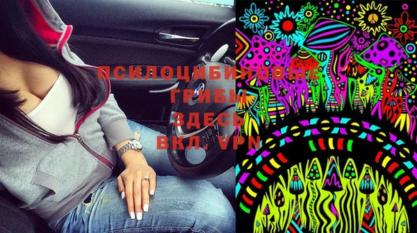гидропоника Богородицк
