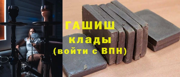 индика Богородск