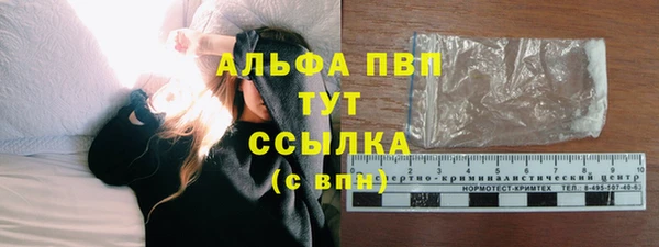 эйфоретик Богданович