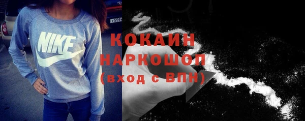 индика Богородск