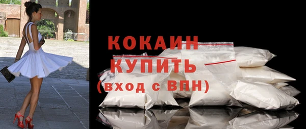 индика Богородск
