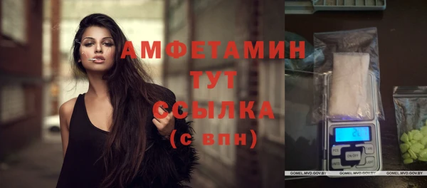 индика Богородск