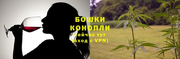 эйфоретик Богданович