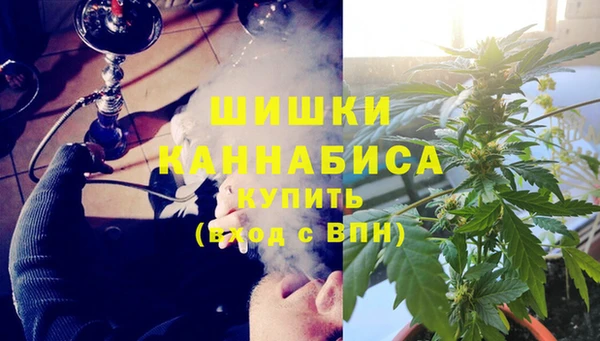 индика Богородск