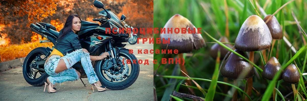 эйфоретик Богданович