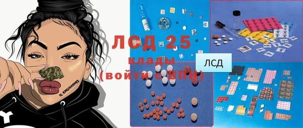 эйфоретик Богданович