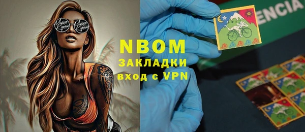 индика Богородск