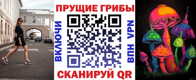 Купить где  Нижнеудинск  Псилоцибиновые грибы GOLDEN TEACHER 
